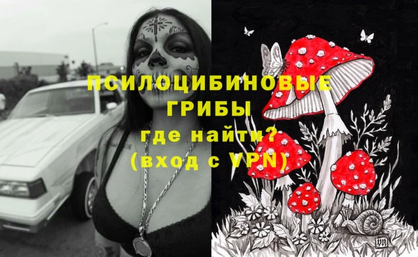 ПСИЛОЦИБИНОВЫЕ ГРИБЫ Баксан