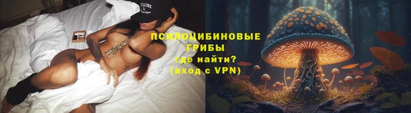 ПСИЛОЦИБИНОВЫЕ ГРИБЫ Баксан