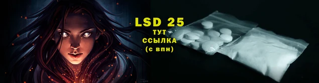 ПСИЛОЦИБИНОВЫЕ ГРИБЫ Баксан