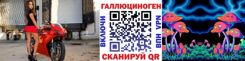 купить Владивосток Псилоцибиновые грибы мицелий